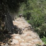 Stone Inca Trail path toward misty Andean peaks near Machu Picchu, Peru