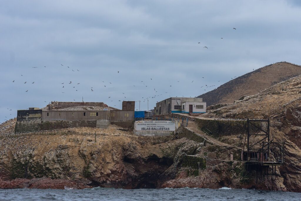 Rocky cliff of the Ballestas Islands seen from the sea, with a welcome sign, old buildings on top and many birds flying under a cloudy sky